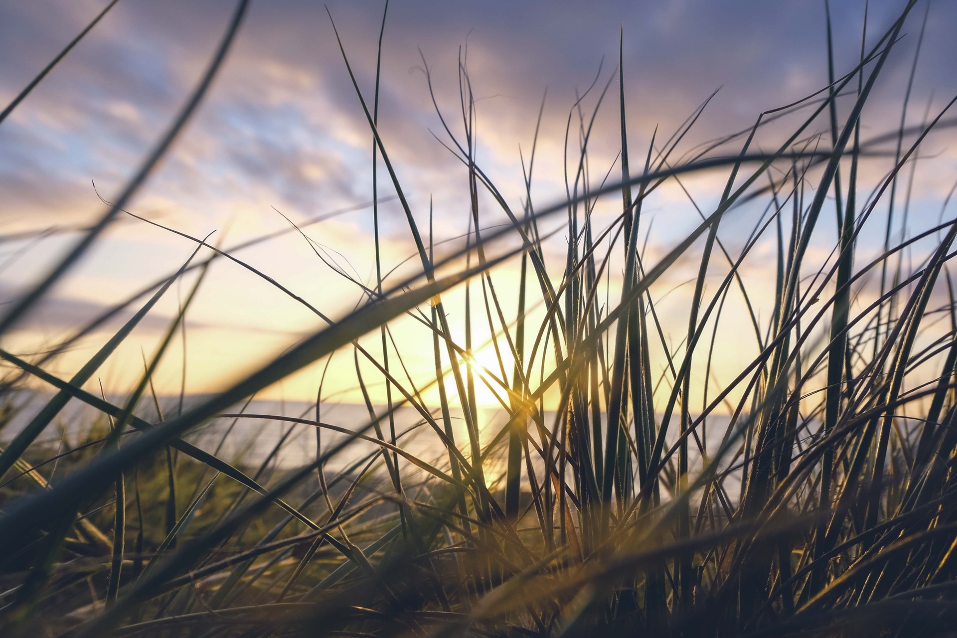 background_img